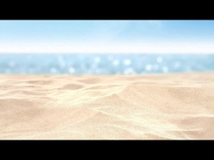 Bildungsmodell für Meerestiere und Krebse Spielzeugfiguren für Indoor und Outdoor-Spiel