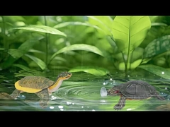 Figur eines Meerestieres