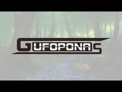 Dinosaurier-Figurensatz realistische handgemalte Dilophosaurus-Figuren mit beweglichen Kiefern